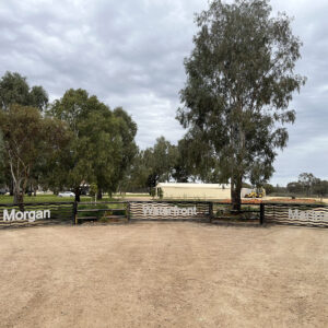 morgan-waterfront-marina-sa-kodar-houseboat-hire-river-murray-south-australia