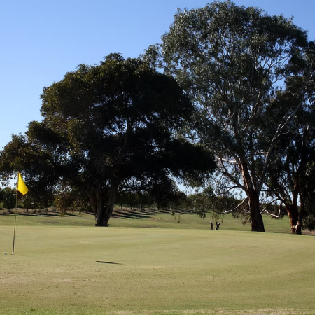 Tee off at Swan Reach Golf Club